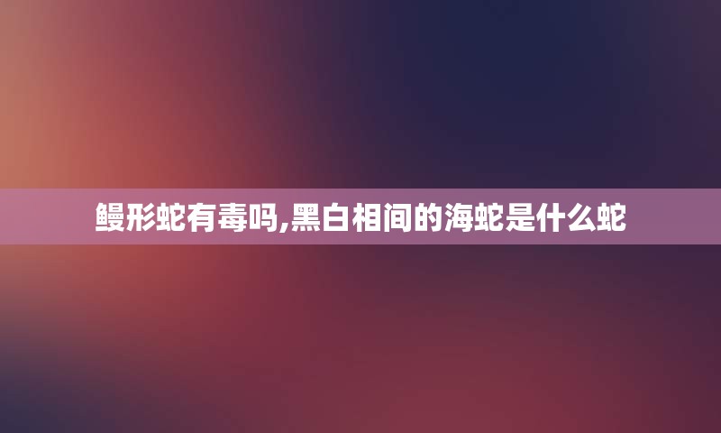 鳗形蛇有毒吗,黑白相间的海蛇是什么蛇