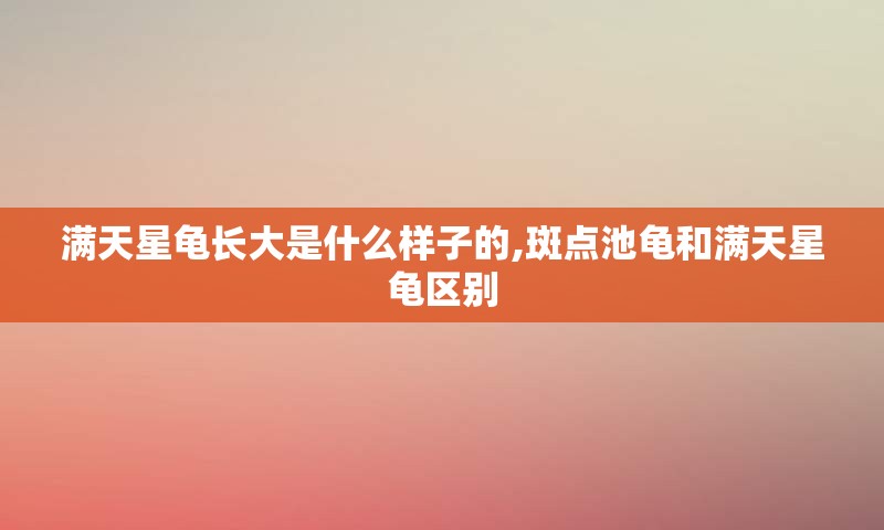 满天星龟长大是什么样子的,斑点池龟和满天星龟区别