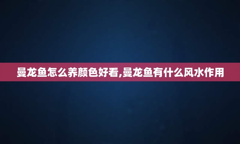 曼龙鱼怎么养颜色好看,曼龙鱼有什么风水作用