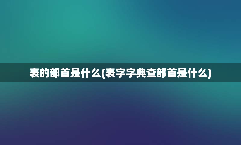 表的部首是什么(表字字典查部首是什么)