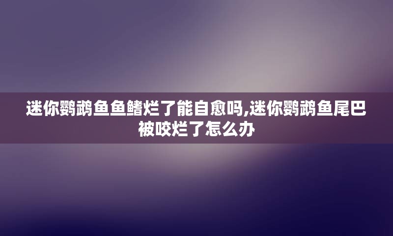 迷你鹦鹉鱼鱼鳍烂了能自愈吗,迷你鹦鹉鱼尾巴被咬烂了怎么办