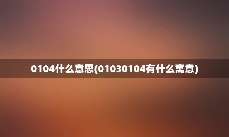 0104什么意思(01030104有什么寓意)