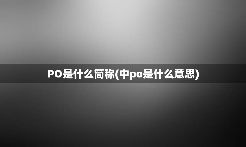 PO是什么简称(中po是什么意思)