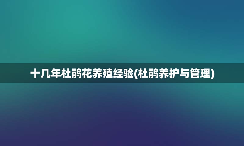 十几年杜鹃花养殖经验(杜鹃养护与管理)