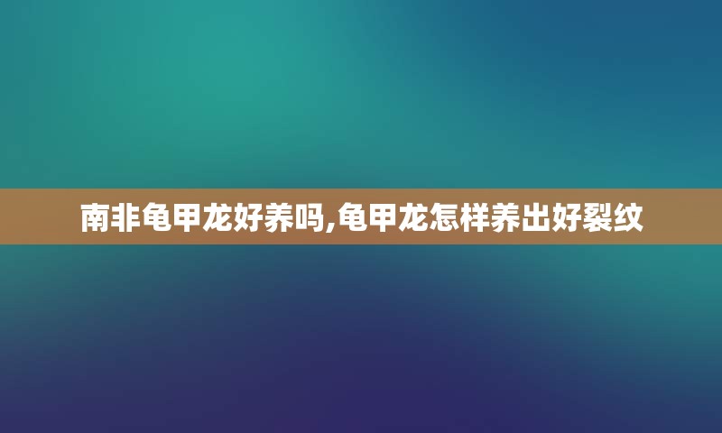 南非龟甲龙好养吗,龟甲龙怎样养出好裂纹