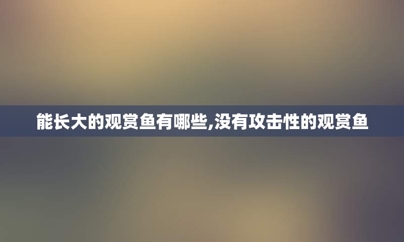 能长大的观赏鱼有哪些,没有攻击性的观赏鱼