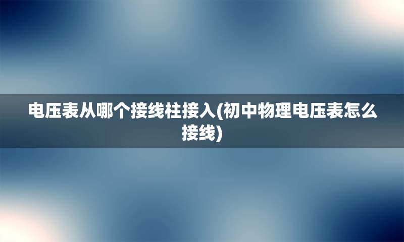 电压表从哪个接线柱接入(初中物理电压表怎么接线)