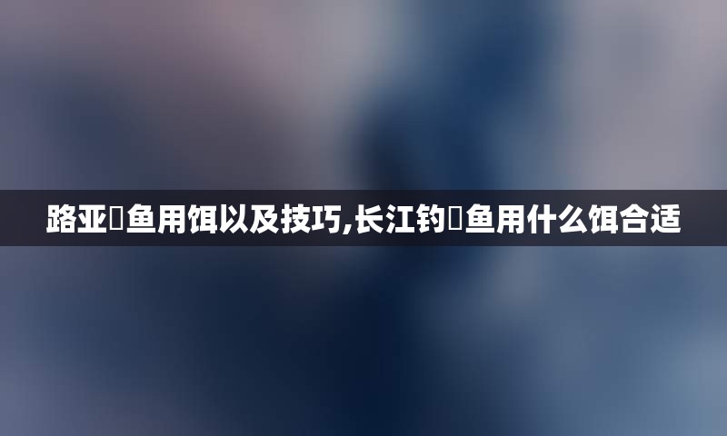 路亚鳡鱼用饵以及技巧,长江钓鳡鱼用什么饵合适