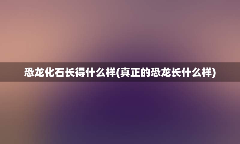 恐龙化石长得什么样(真正的恐龙长什么样)