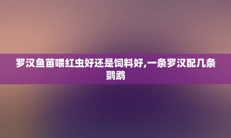 罗汉鱼苗喂红虫好还是饲料好,一条罗汉配几条鹦鹉