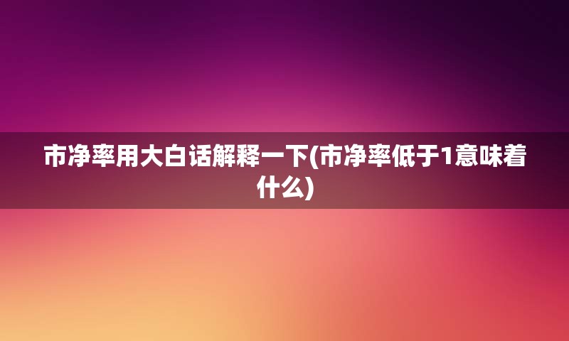 市净率用大白话解释一下(市净率低于1意味着什么)