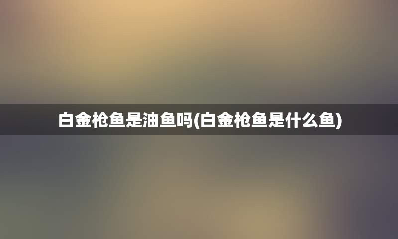 白金枪鱼是油鱼吗(白金枪鱼是什么鱼)