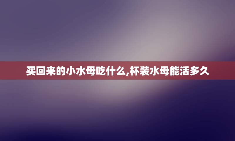 买回来的小水母吃什么,杯装水母能活多久