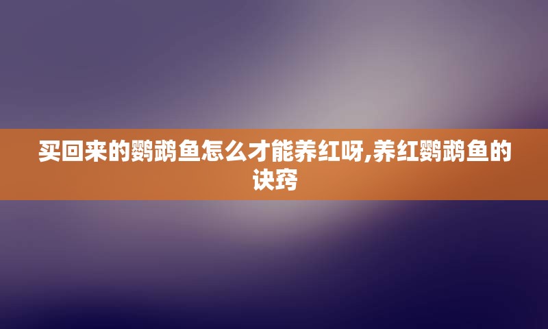 买回来的鹦鹉鱼怎么才能养红呀,养红鹦鹉鱼的诀窍