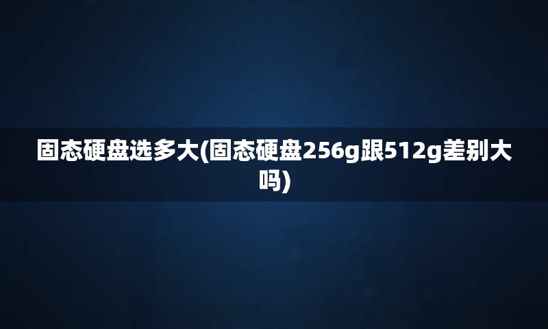 固态硬盘选多大(固态硬盘256g跟512g差别大吗)