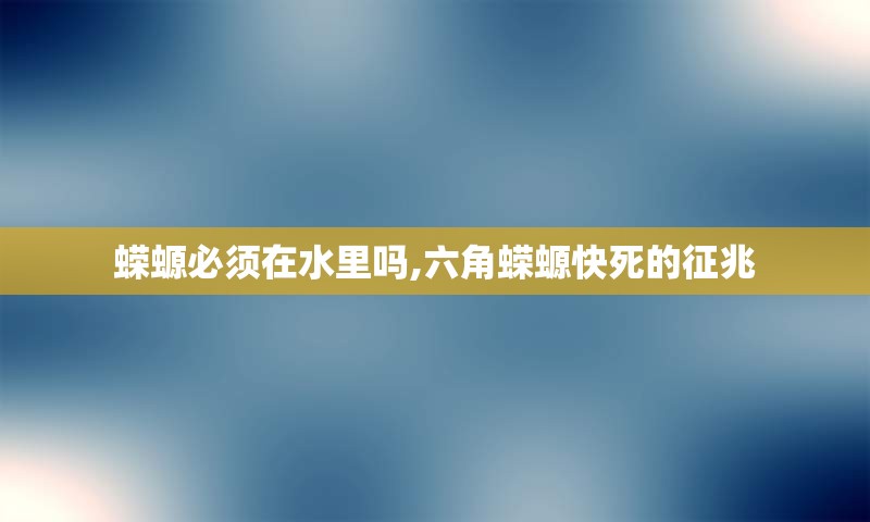 蝾螈必须在水里吗,六角蝾螈快死的征兆