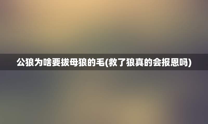 公狼为啥要拔母狼的毛(救了狼真的会报恩吗)