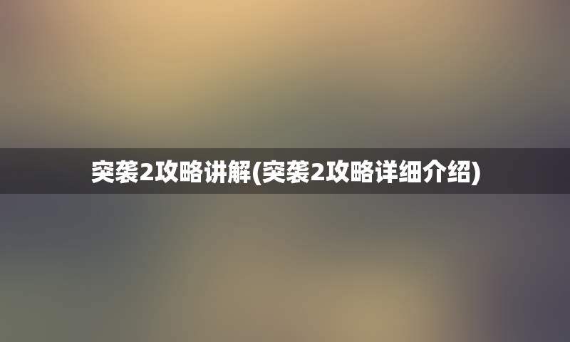 突袭2攻略讲解(突袭2攻略详细介绍)