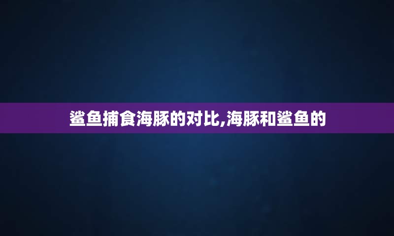 鲨鱼捕食海豚的对比,海豚和鲨鱼的