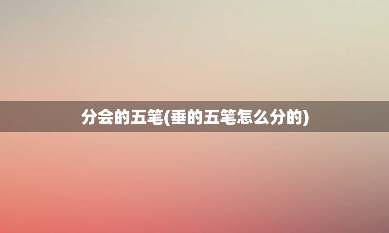 分会的五笔(垂的五笔怎么分的)