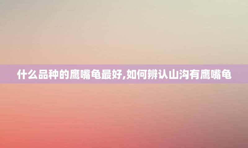 什么品种的鹰嘴龟最好,如何辨认山沟有鹰嘴龟