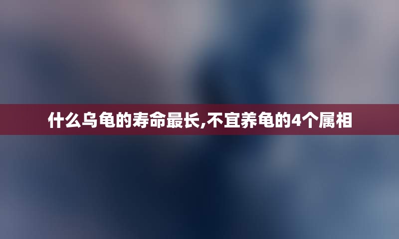 什么乌龟的寿命最长,不宜养龟的4个属相