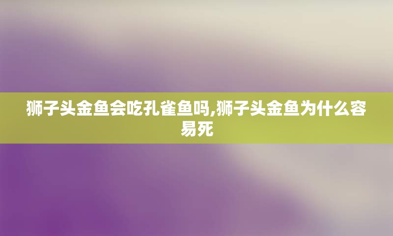 狮子头金鱼会吃孔雀鱼吗,狮子头金鱼为什么容易死