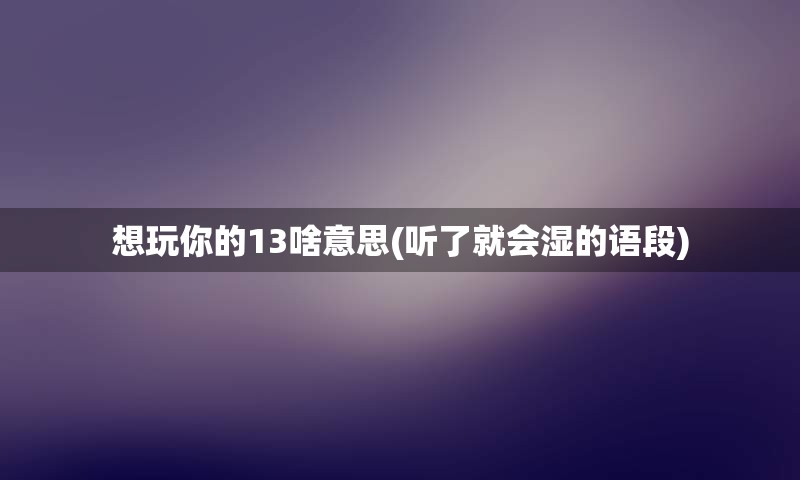 想玩你的13啥意思(听了就会湿的语段)