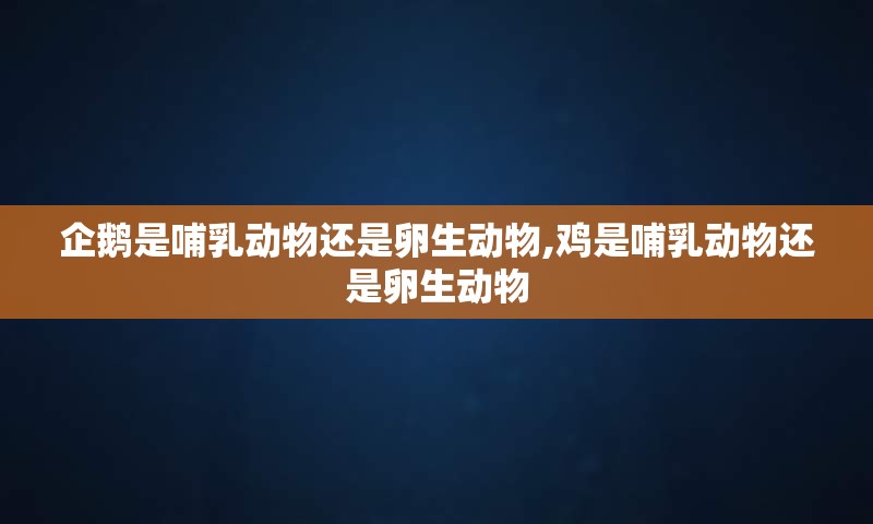 企鹅是哺乳动物还是卵生动物,鸡是哺乳动物还是卵生动物