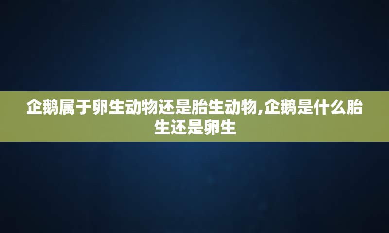 企鹅属于卵生动物还是胎生动物,企鹅是什么胎生还是卵生