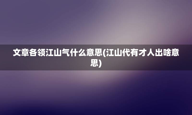 文章各领江山气什么意思(江山代有才人出啥意思)