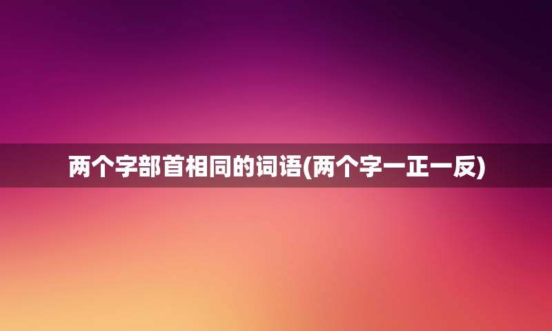 两个字部首相同的词语(两个字一正一反)