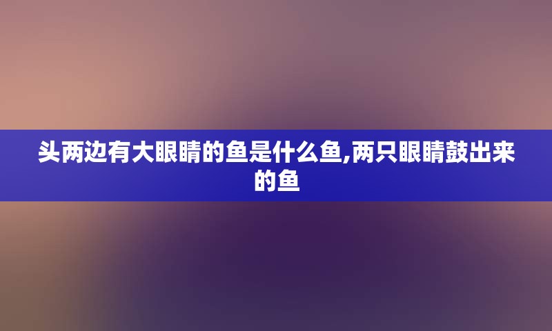 头两边有大眼睛的鱼是什么鱼,两只眼睛鼓出来的鱼