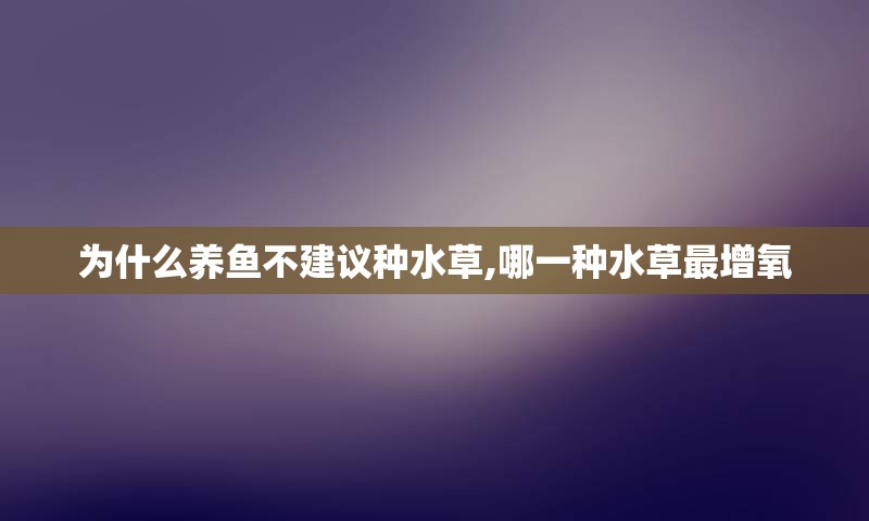 为什么养鱼不建议种水草,哪一种水草最增氧