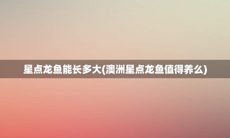 星点龙鱼能长多大(澳洲星点龙鱼值得养么)