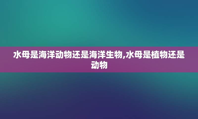 水母是海洋动物还是海洋生物,水母是植物还是动物