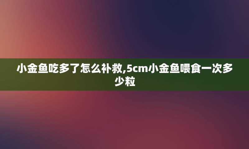 小金鱼吃多了怎么补救,5cm小金鱼喂食一次多少粒