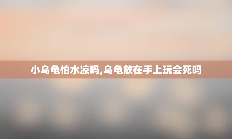 小乌龟怕水凉吗,乌龟放在手上玩会死吗