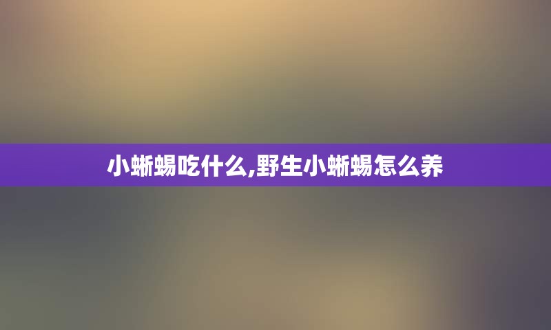 小蜥蜴吃什么,野生小蜥蜴怎么养