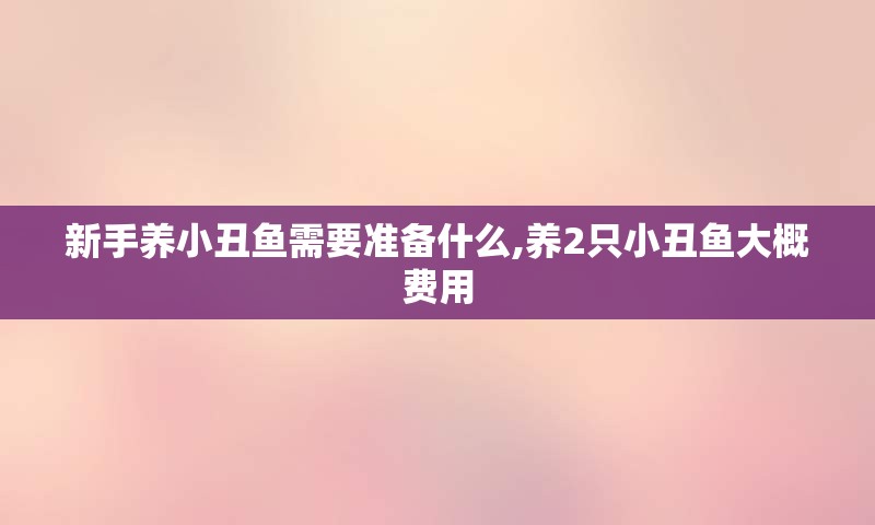 新手养小丑鱼需要准备什么,养2只小丑鱼大概费用