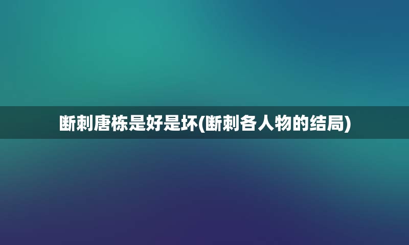 断刺唐栋是好是坏(断刺各人物的结局)