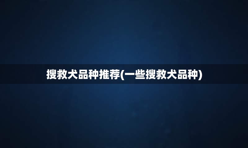 搜救犬品种推荐(一些搜救犬品种)