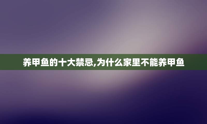 养甲鱼的十大禁忌,为什么家里不能养甲鱼