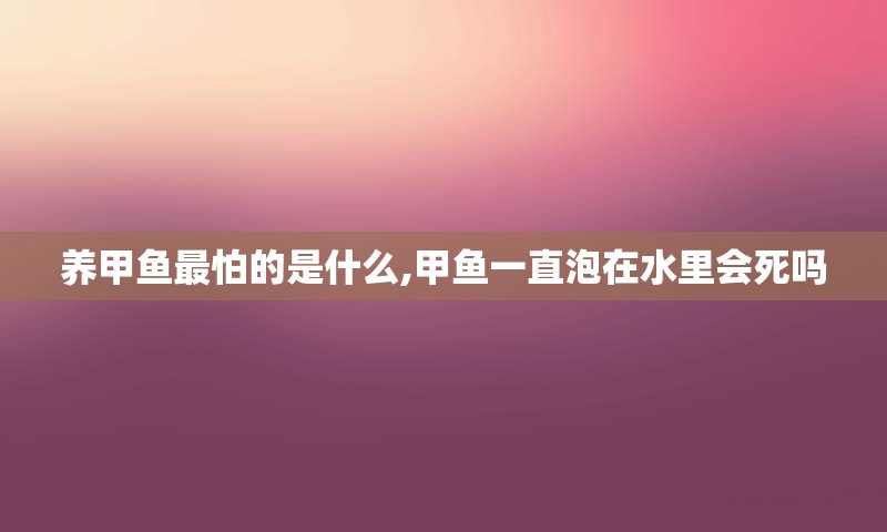 养甲鱼最怕的是什么,甲鱼一直泡在水里会死吗