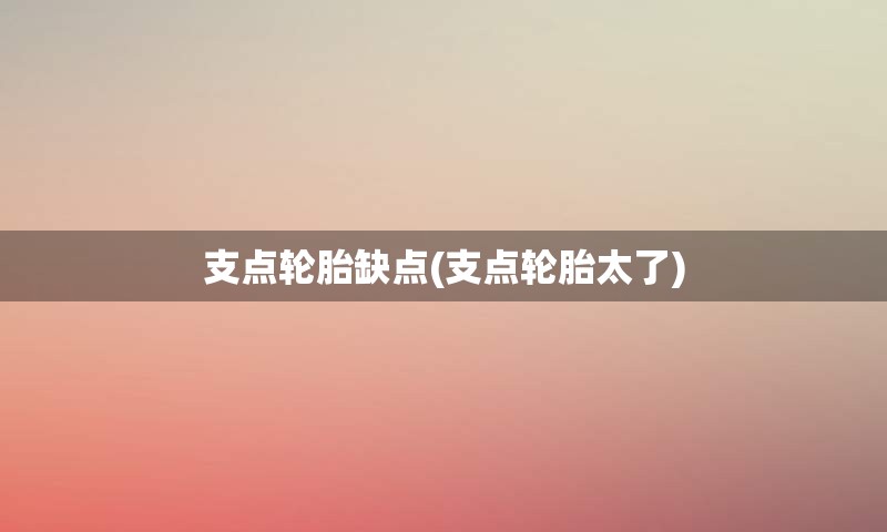 支点轮胎缺点(支点轮胎太了)