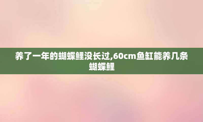 养了一年的蝴蝶鲤没长过,60cm鱼缸能养几条蝴蝶鲤