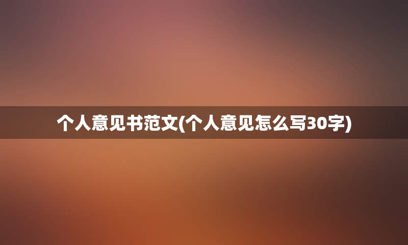 个人意见书范文(个人意见怎么写30字)