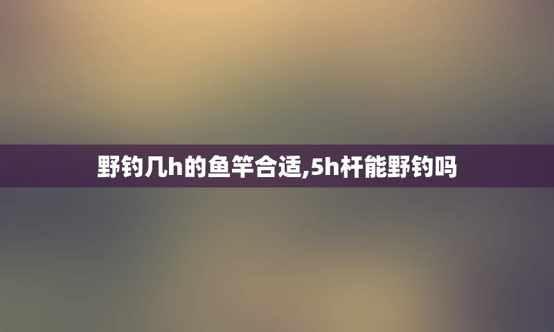 野钓几h的鱼竿合适,5h杆能野钓吗