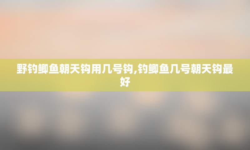 野钓鲫鱼朝天钩用几号钩,钓鲫鱼几号朝天钩最好