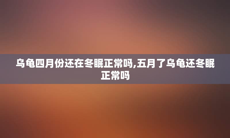 乌龟四月份还在冬眠正常吗,五月了乌龟还冬眠正常吗